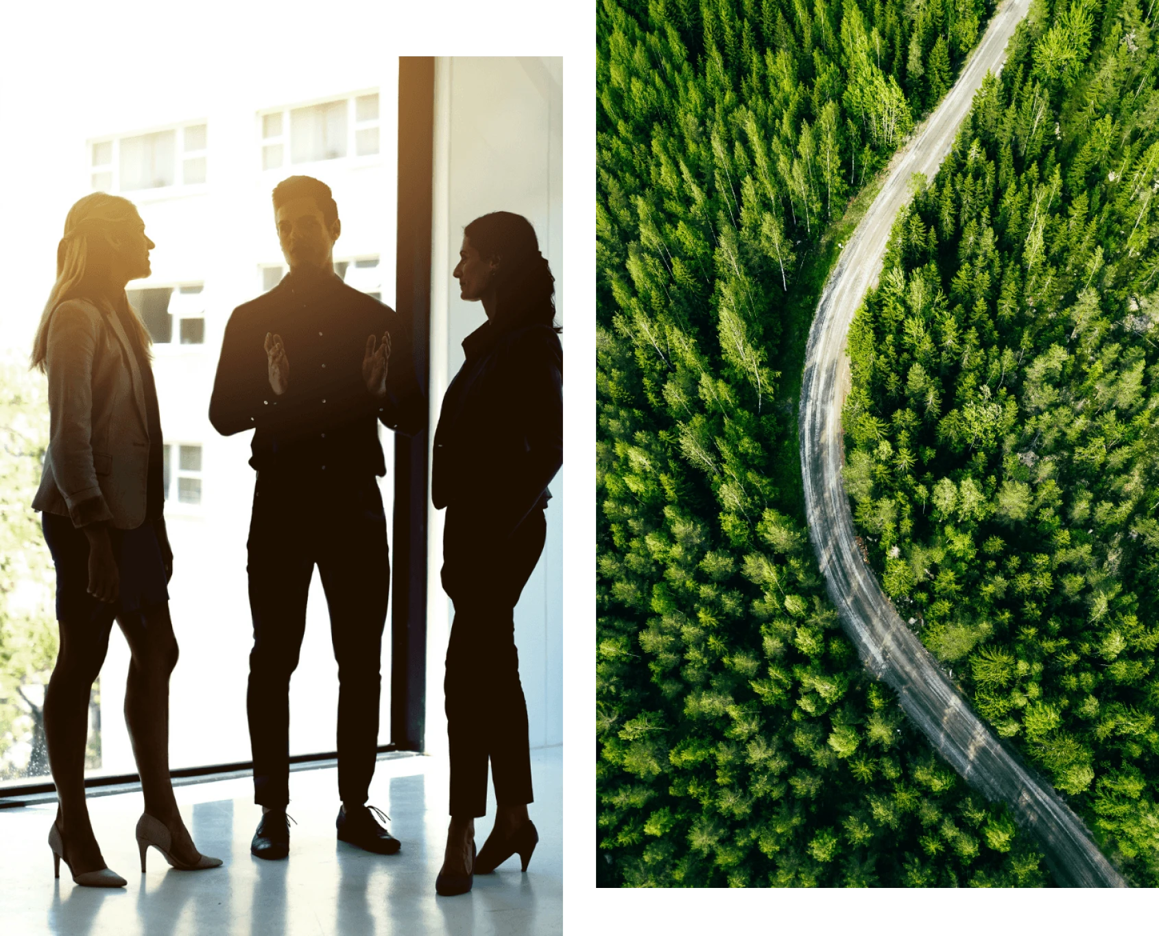 office-people-and-trees