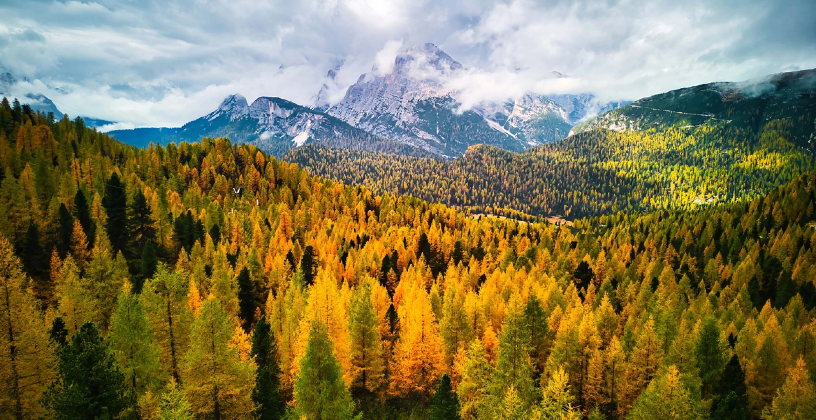 mountain-and-trees